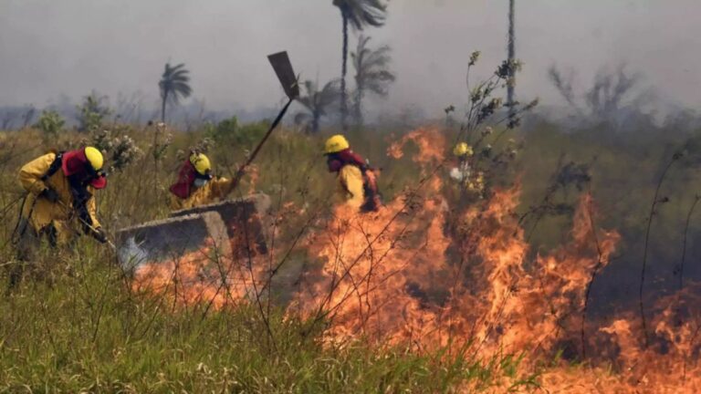 Un informe reciente señala que el fuego sigue activo en 72 comunidades