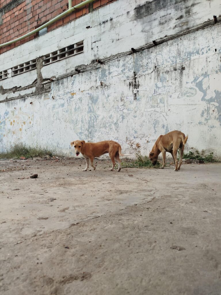 En Puerto La Cruz