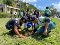 Este plan representa un paso crucial hacia un futuro más verde